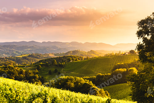 Preview: View from famous wine street in south styria, Austria at tuscany like vineyard hills
