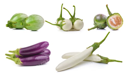 Preview: eggplant on white background