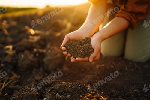 Preview: Woman farmer's hand touch soil, check its health before growing vegetables. Concept of agriculture.