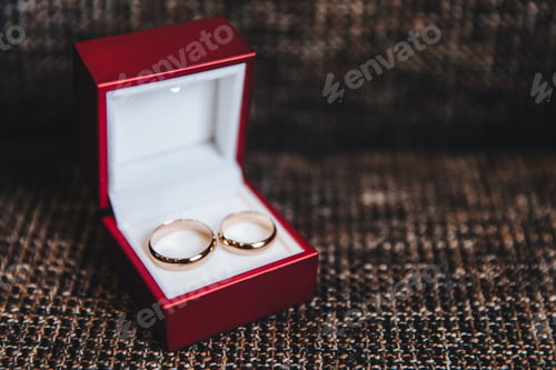 Vista previa: Dos anillos dorados en caja