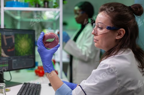 Preview: Biologist researcher holding in hands vegan beef meat sample