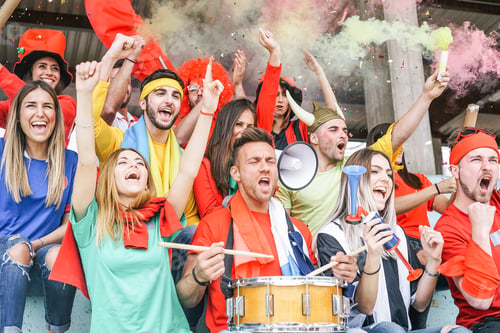 Preview: Football supporter fans watching international soccer match