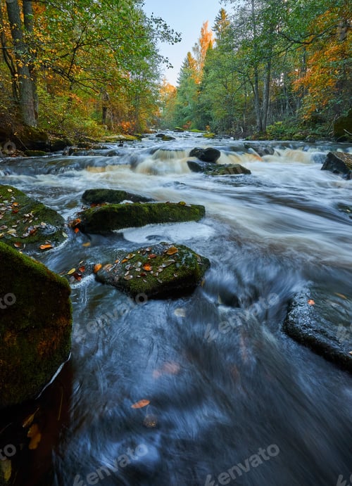 Preview: Vertical high angle long exposure view of a river flowing in a forest
