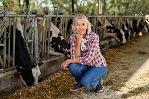 Preview: Woman Farmer Is Working On Farm Cows