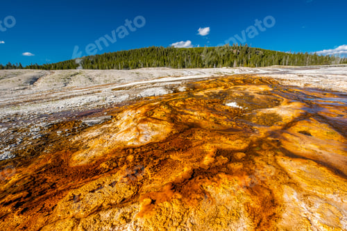 Preview: Hot thermal spring in Yellowstone