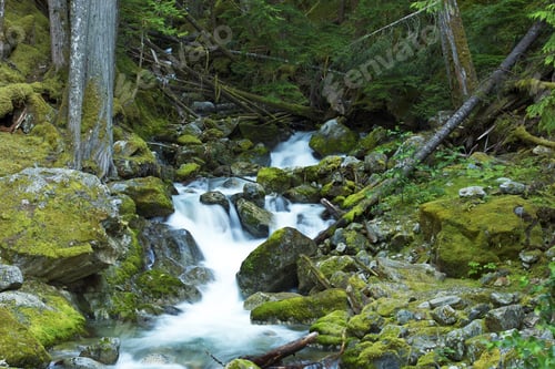 Preview: Small Creek Waterfalls