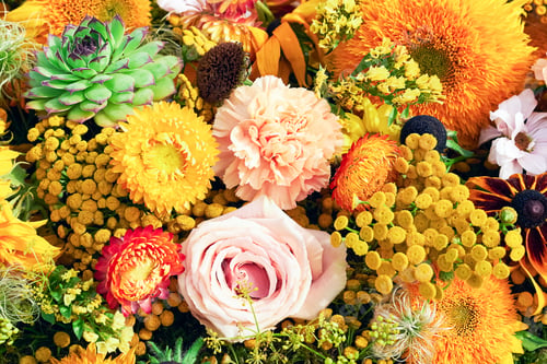 Preview: Beautiful autumnal flower background. Flowers decoration, top view
