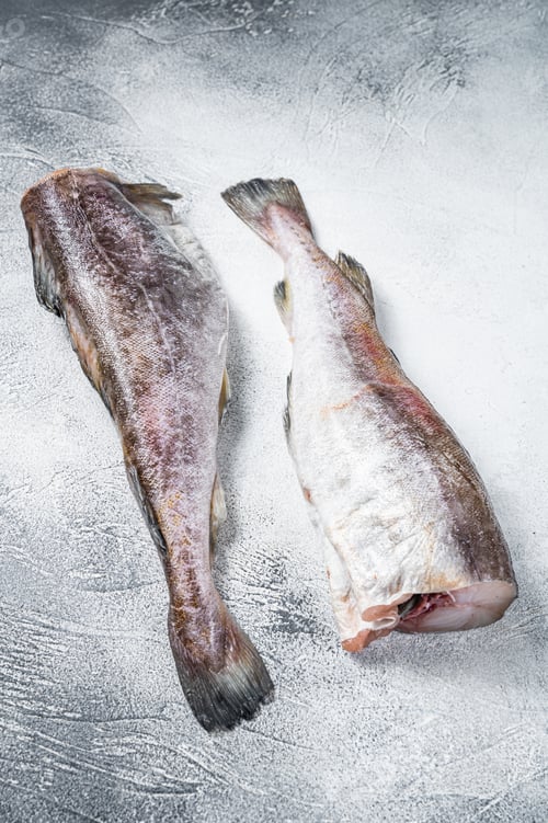 Preview: Raw cod whole fish on kitchen table. White background. Top view