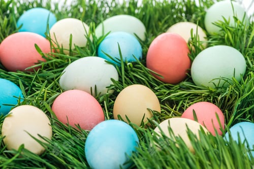 Preview: close up of colorful easter eggs on green grass