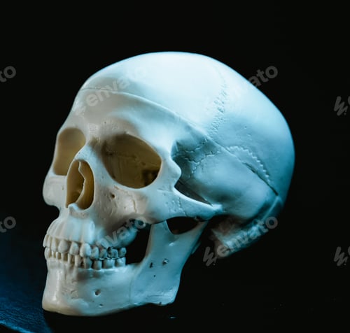 Preview: scary human skull horror Halloween