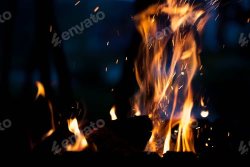 Preview: Beautiful fire on a picnic. The concept of nature.