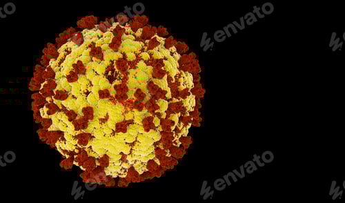 Preview: Yellow and Red Virus Rendering on Black Backdrop