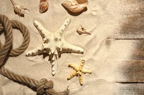 Preview: Flat lay composition with seashells, beach sand and space for text on wooden background