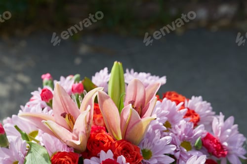 Preview: Close-up photo bunch of fresh colorful flowers