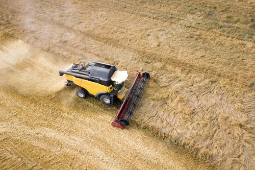 Preview: Aerial view of combine harvester harvesting large ripe wheat field. Agriculture from drone view.