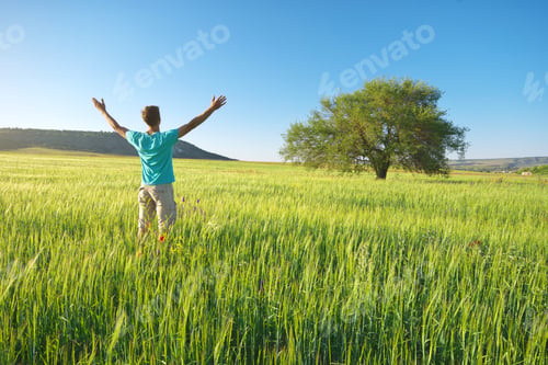 Preview: Man in green meadow