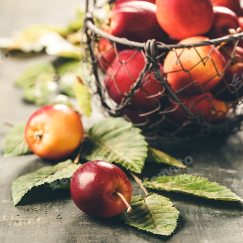 Preview: Ripe red apples in metal basket on rustic table