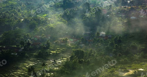 Preview: aerial view of tropical forest