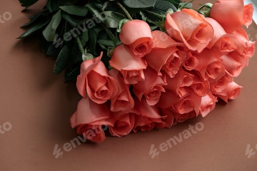 Preview: romance