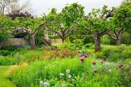 Preview: View across a garden with flower beds and trees in Oxfordshire.
