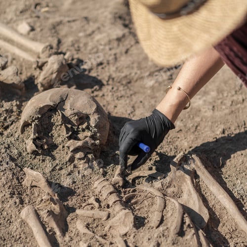 Preview: Ancient Burial Site- Archaeological Excavations