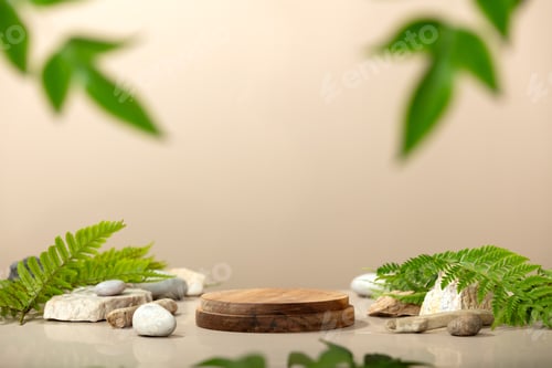 Preview: Wooden Display Surrounded by Ferns and Smooth Rocks