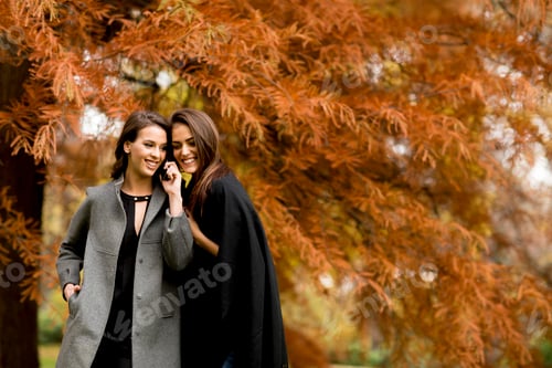 Preview: Two pretty young women using mobile phone in the autumn forest