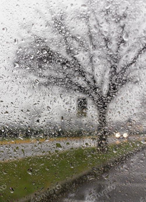 Preview: Bad weather driving on a way