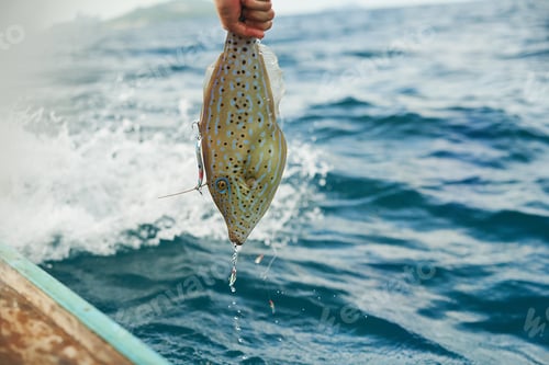 Preview: Catch of the day