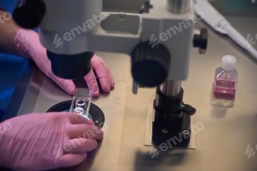 Preview: Embryologist examining cell cultures under a microscope
