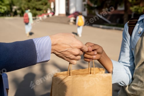 Preview: Contemporary schoolboy taking paperbag with food for lunch