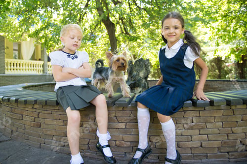 Preview: Two girls playing with a dog