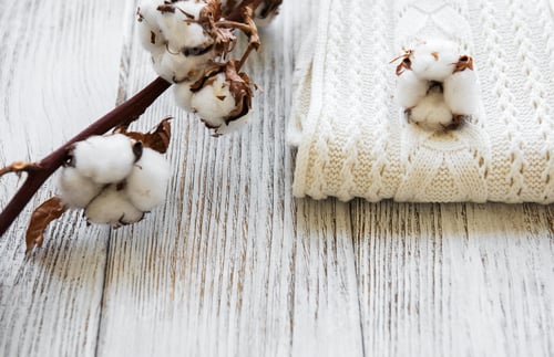 Preview: white cotton flowers