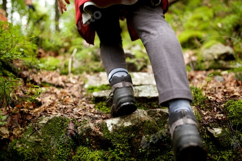 Preview: behind person hiking uphill on path