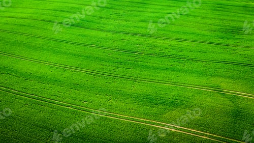Preview: Aerial view of green field in spring, Poland, Europe