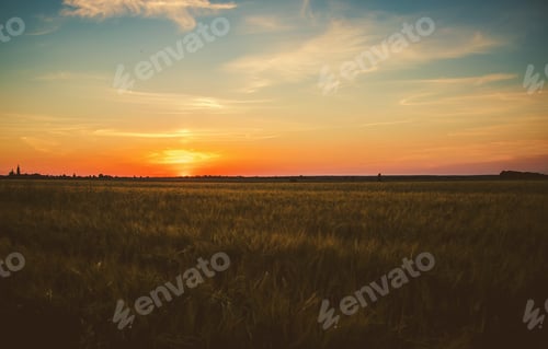 Preview: nature