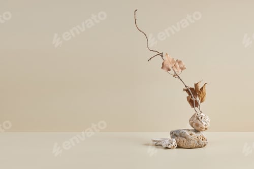Preview: Nature scene with composition of stones and dry branch