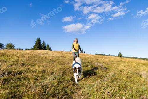 Preview: happy white dog playing with owner outdoors