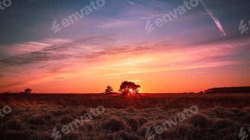 Preview: Beautiful landscape of the grassland and the sunset on the horizon