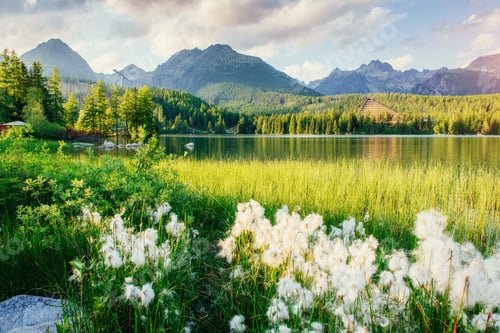 Preview: Majestic mountain lake in National Park High Tatra. Strbske ples