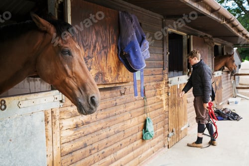Preview: Man wearing riding gear standing by a box stall at a stable. A horse looking out of the stable.