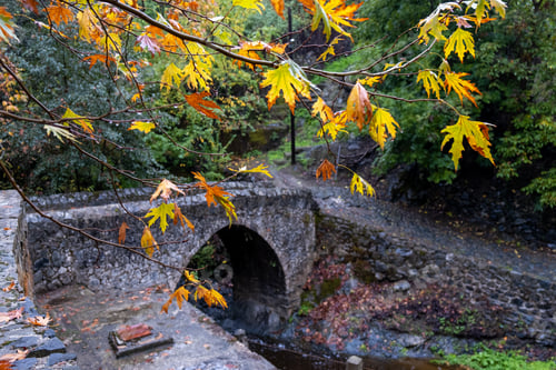 Preview: Medieval stoned bridge water flowing in the river in autumn