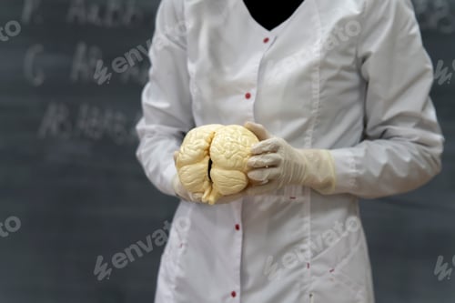Preview: a biology class, teacher's hands hold human brains model