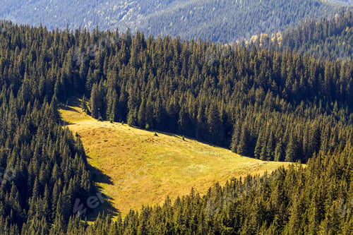 Preview: Majestic view of beautiful sunny meadow in the Carpathian mountains