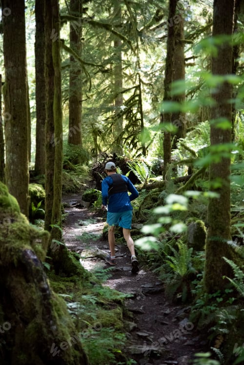 Preview: Person running though a beautiful lush green forest on a maintained mountain trail.