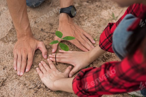 Preview: Men and women help grow trees.