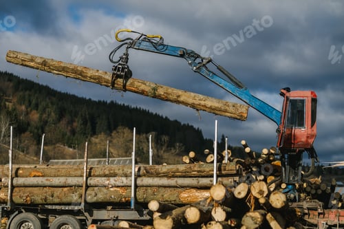 Preview: Crane loading wood into wood truck and the wood grapple holding a log in the air