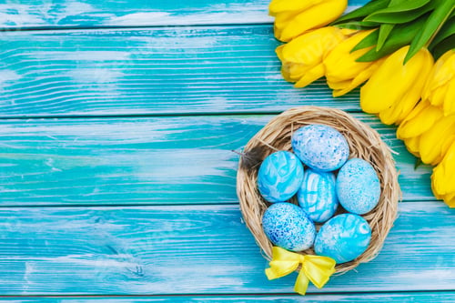 Preview: Easter eggs and tulips. Festive decoration on wood background. Holiday card with copy space