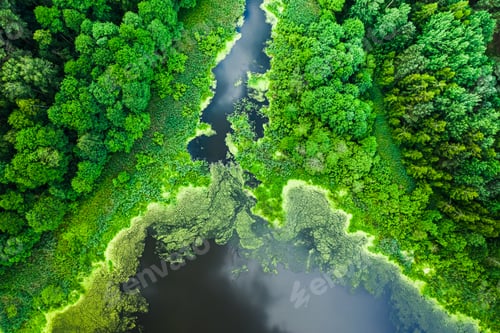 Preview: Beautiful green algae on the lake in summer, flying above