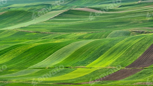 Preview: Puglia countryside landscape, view of cultivated rolling hills. Poggiorsini, Italy